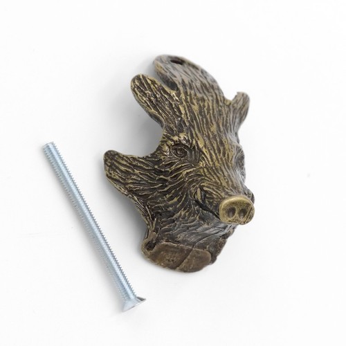 Cinghiale testa decorazione - cinghiale,