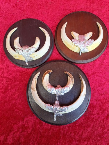 Keilerwaffen 3x - ,,