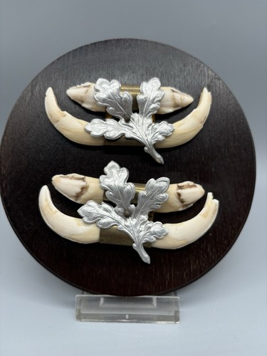Denti cuneo armi - armi,